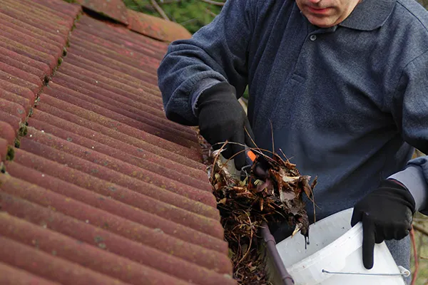 gutter cleaning near me