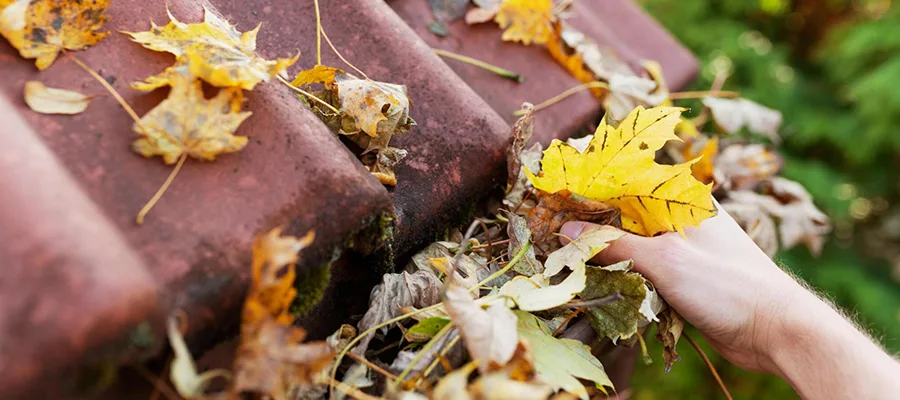 Gutter Cleaning Perth