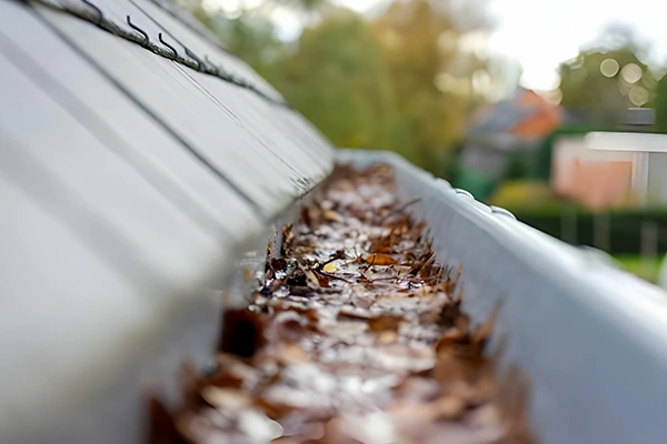 gutter washing near me