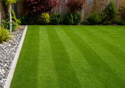 lawn-care