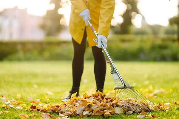 spring cleaning near me