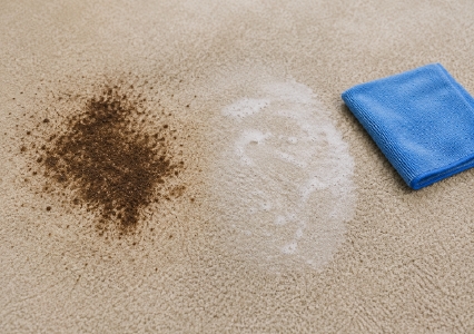 Stain & Odour Treatment